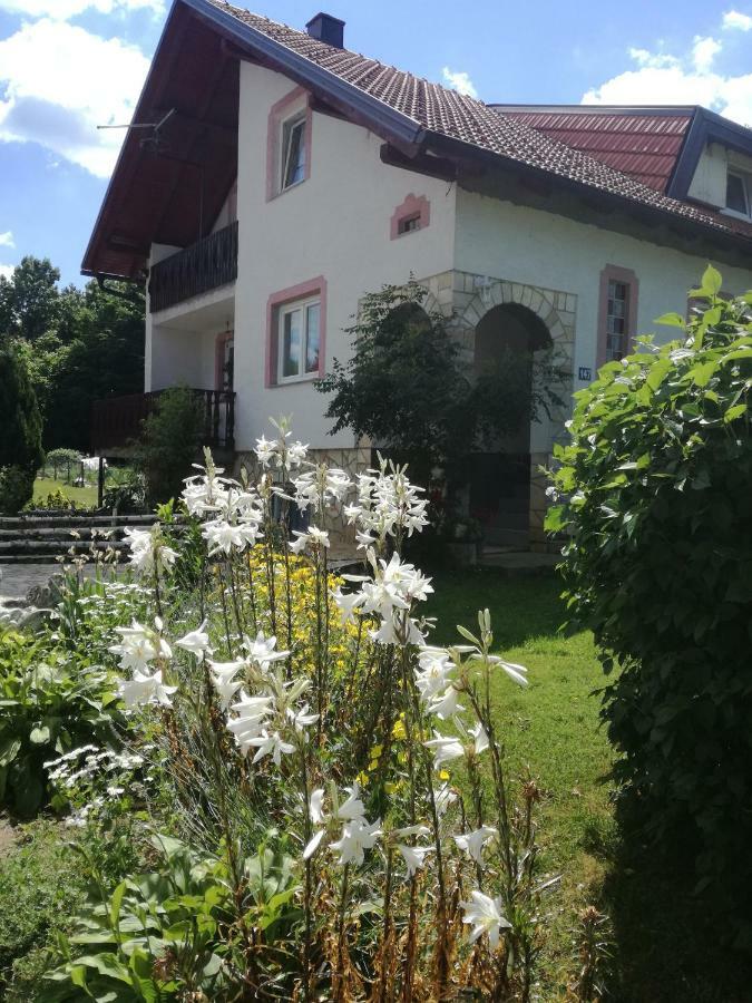 Apartman Jasmin Leilighet Čatrnja Eksteriør bilde